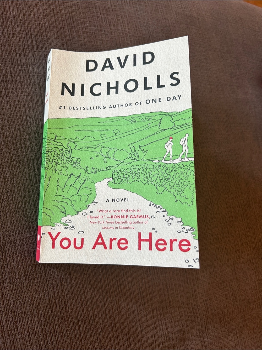 "You Are Here" by David Nicholls